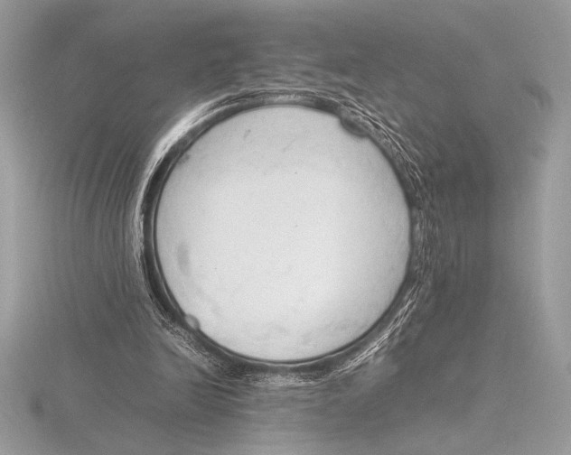 X0000115800246200912111215