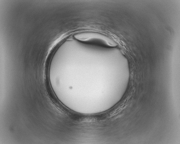 X0000115800248200912111215