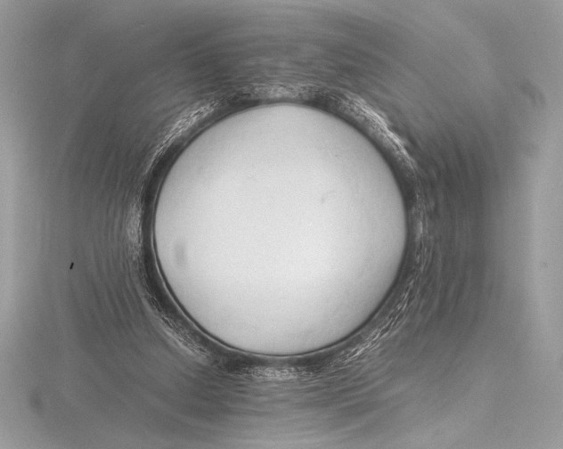 X0000115800250200912111215