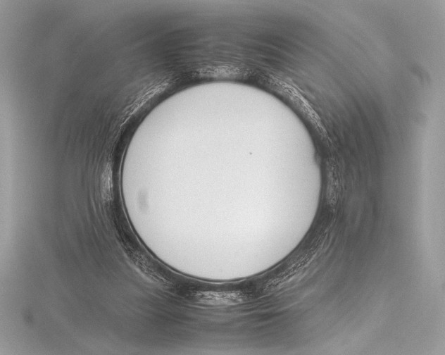 X0000115800251200912111215