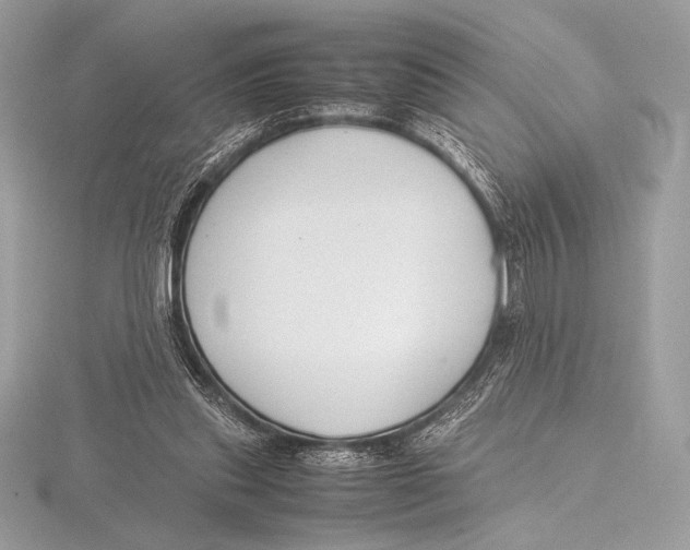 X0000115800253200912111215