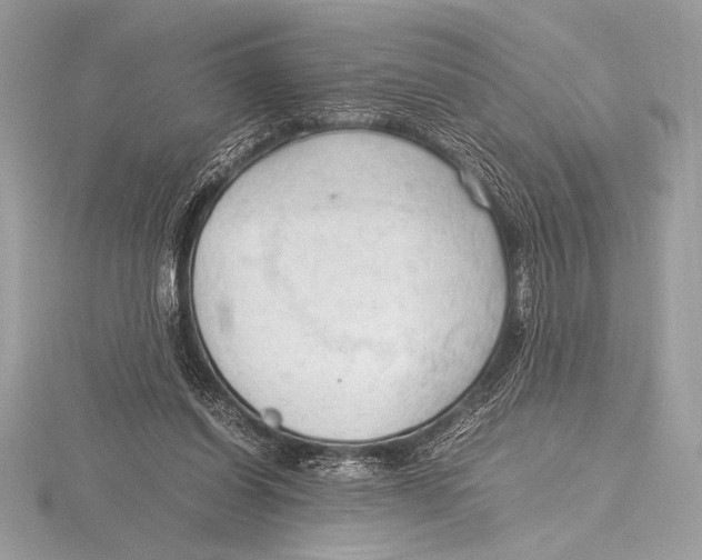 X0000115800254200912111215