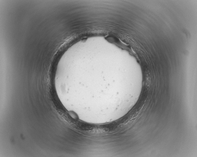 X0000115800256200912111215