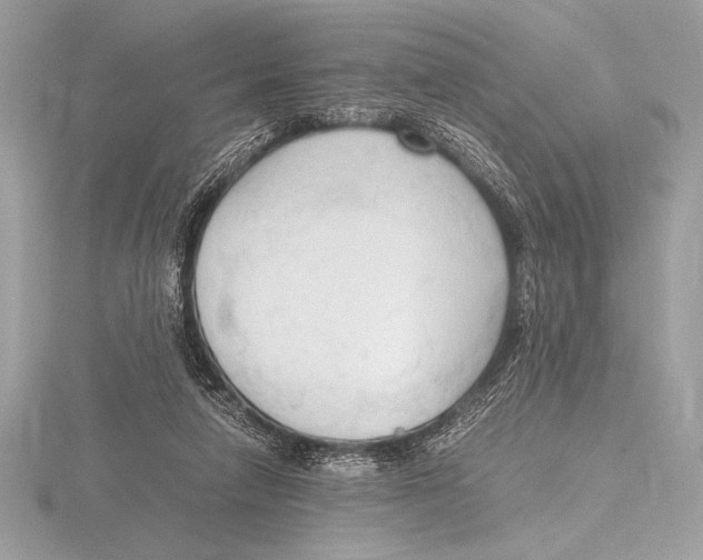 X0000115800258200912111215