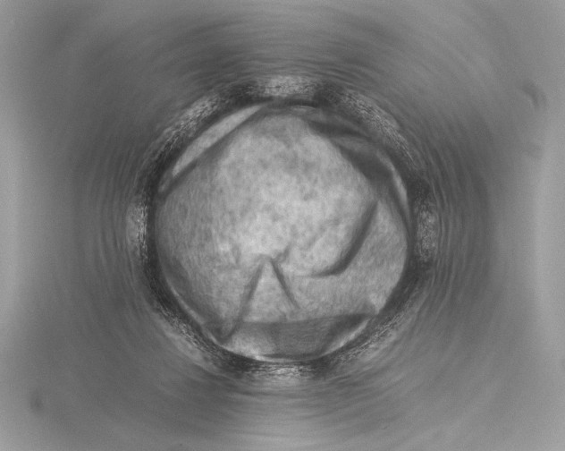 X0000115800260200912111215