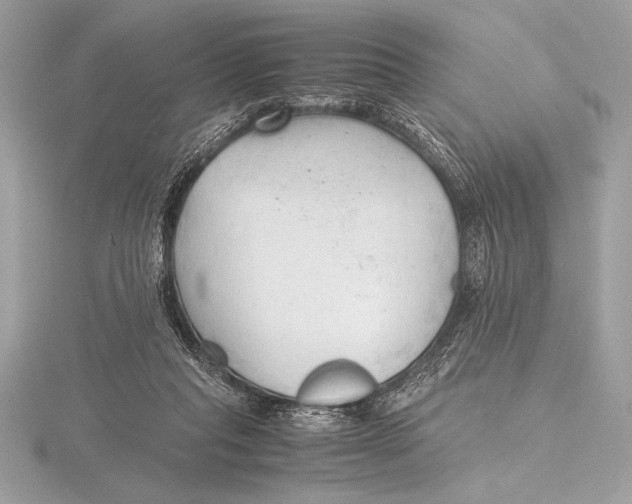 X0000115800261200912111215