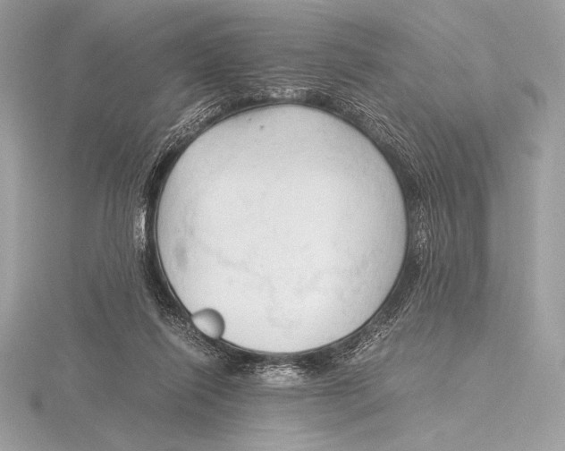 X0000115800262200912111215