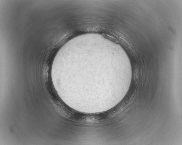 X0000115800264200912111215