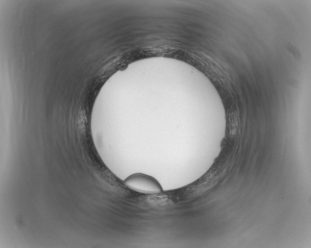 X0000115800279200912111215