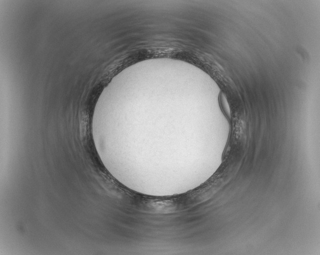 X0000115800283200912111215