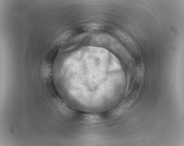 X0000115800284200912111215