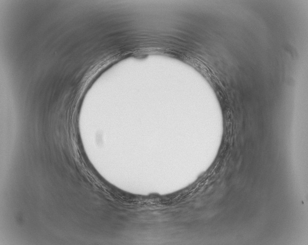 X0000115800289200912111215