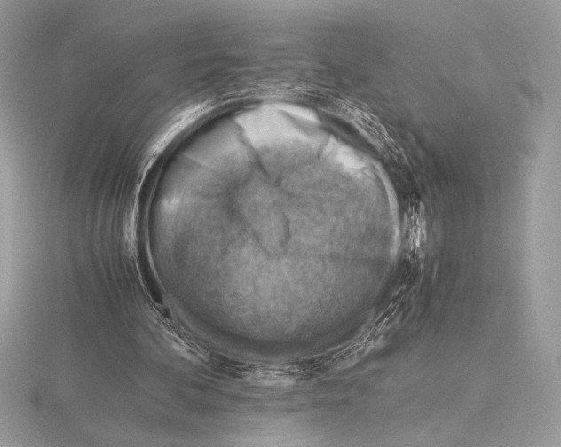 X0000115800292200912111215