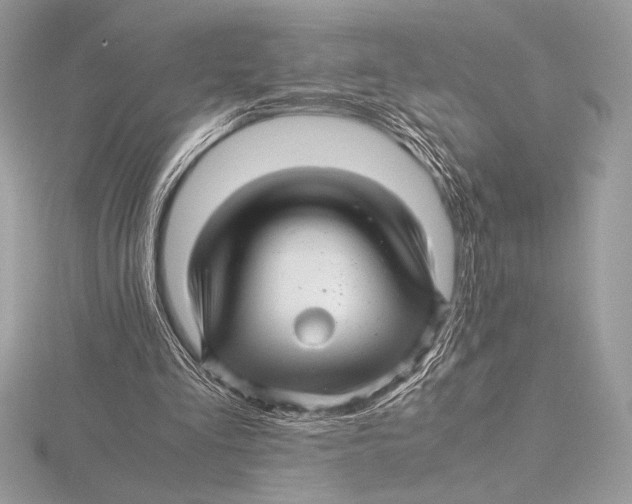 X0000115800293200912111215