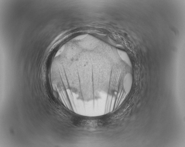 X0000115800295200912111215