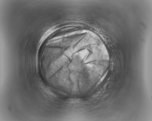 X0000115800296200912111215