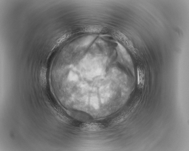 X0000115800300200912111215