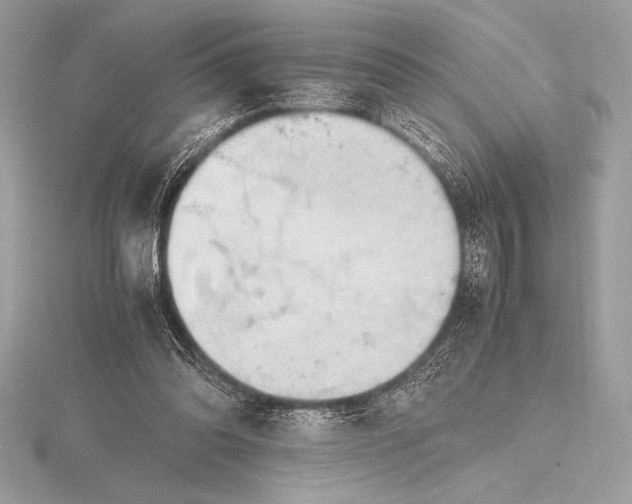 X0000115800302200912111215