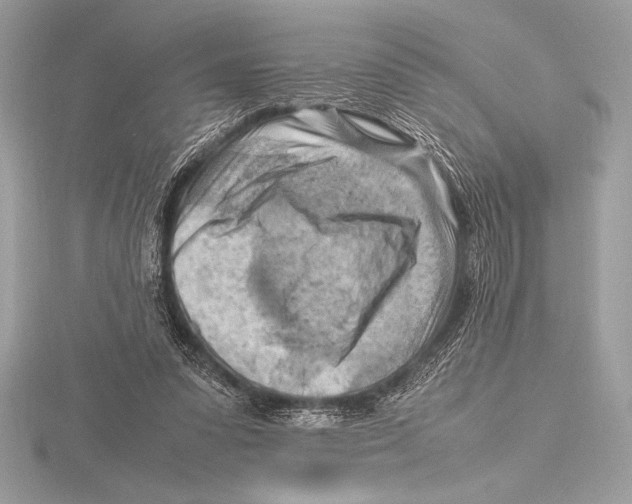 X0000115800303200912111215