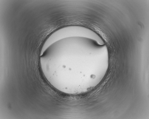 X0000115800305200912111215