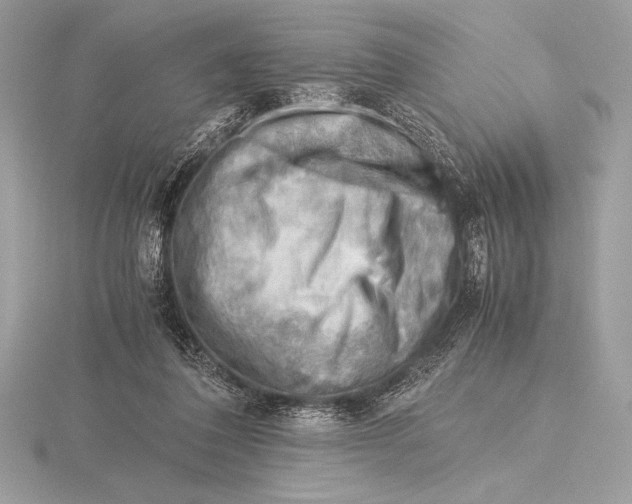 X0000115800308200912111215