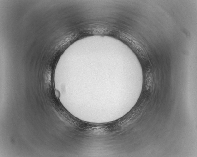 X0000115800310200912111215