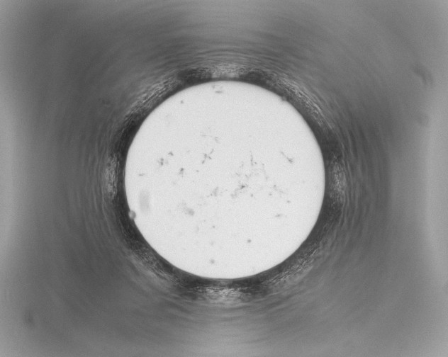 X0000115800311200912111215