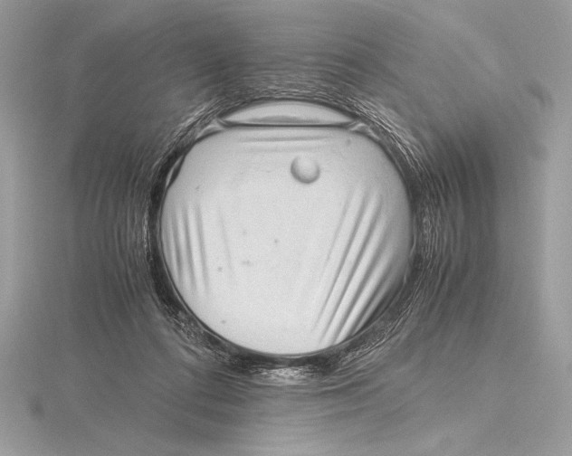 X0000115800312200912111215