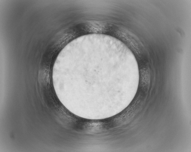 X0000115800313200912111215