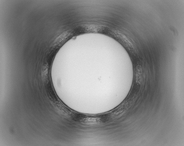 X0000115800314200912111215