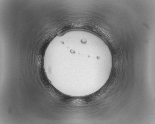 X0000115800315200912111214