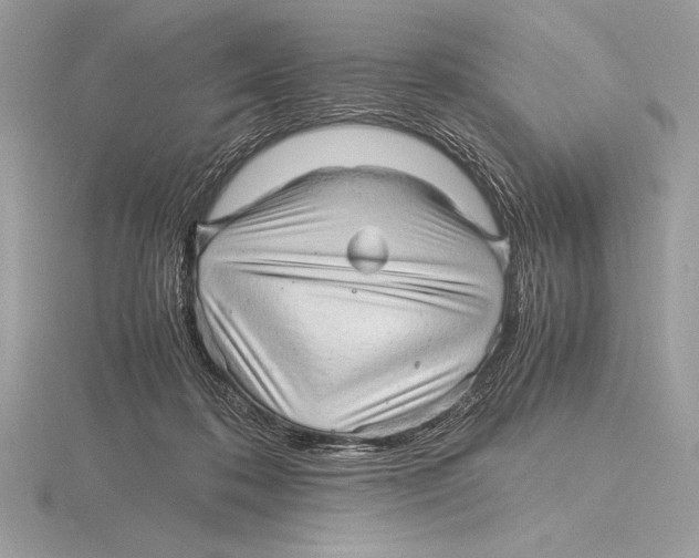 X0000115800316200912111214