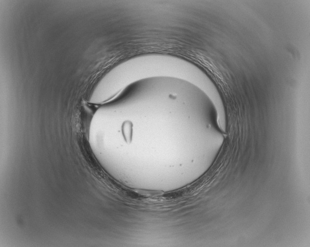 X0000115800317200912111214