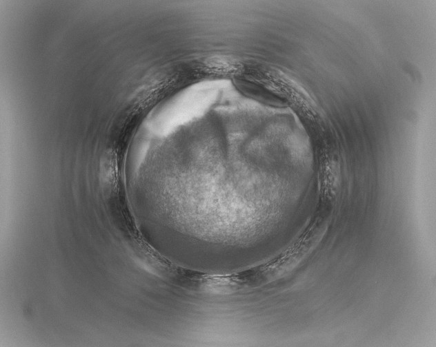 X0000115800320200912111214