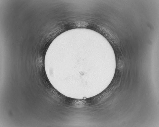 X0000115800321200912111214