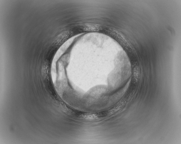 X0000115800322200912111214