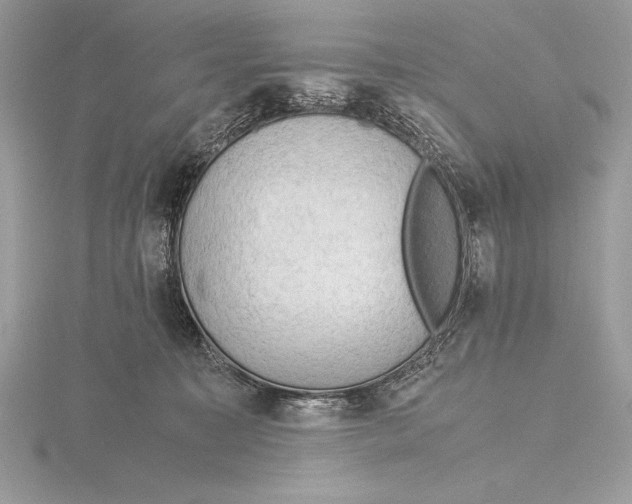 X0000115800323200912111214