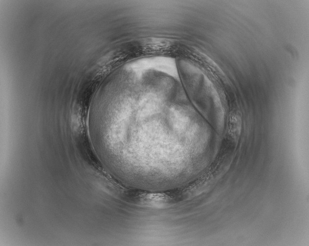 X0000115800324200912111214