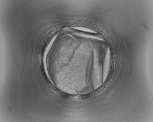 X0000115800325200912111214