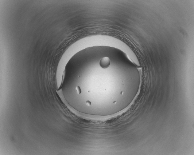 X0000115800328200912111214