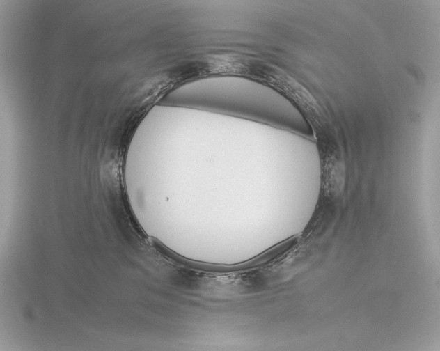 X0000115800329200912111214