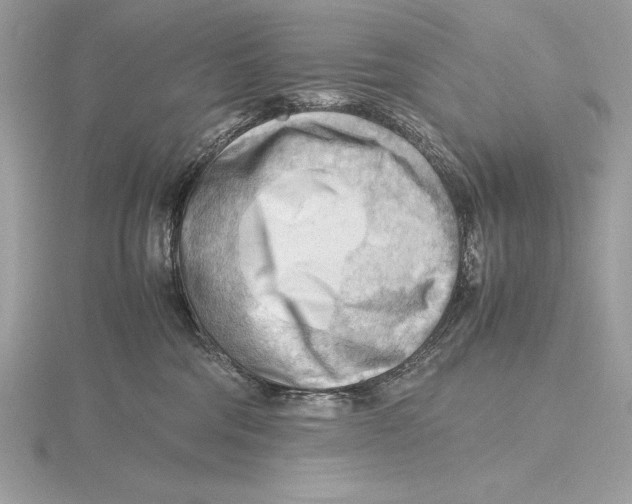 X0000115800330200912111214