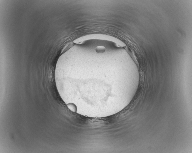 X0000115800331200912111214