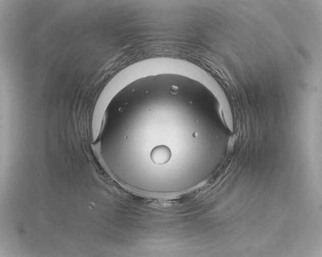 X0000115800332200912111214