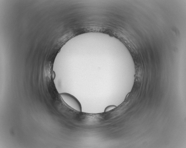 X0000115800334200912111214