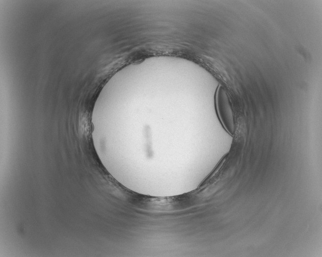 X0000115800335200912111214