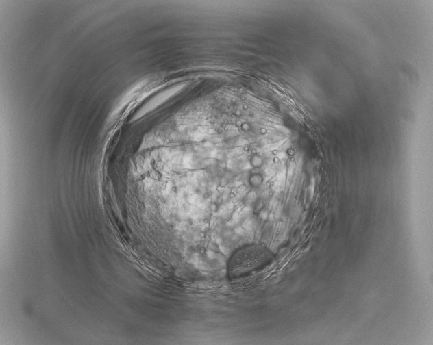 X0000115800339200912111214