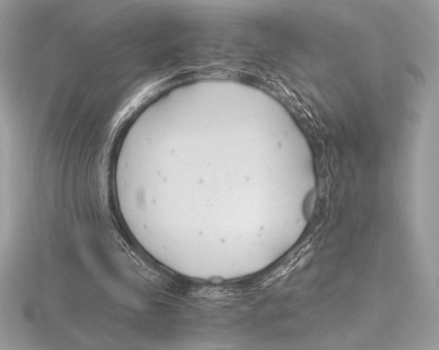 X0000115800341200912111214