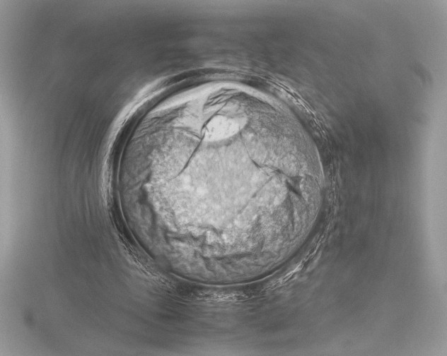 X0000115800343200912111214