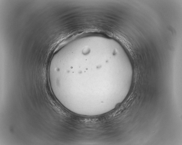 X0000115800345200912111214